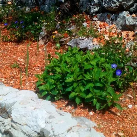 House Gaby With Pool Labin (Dalmatia)